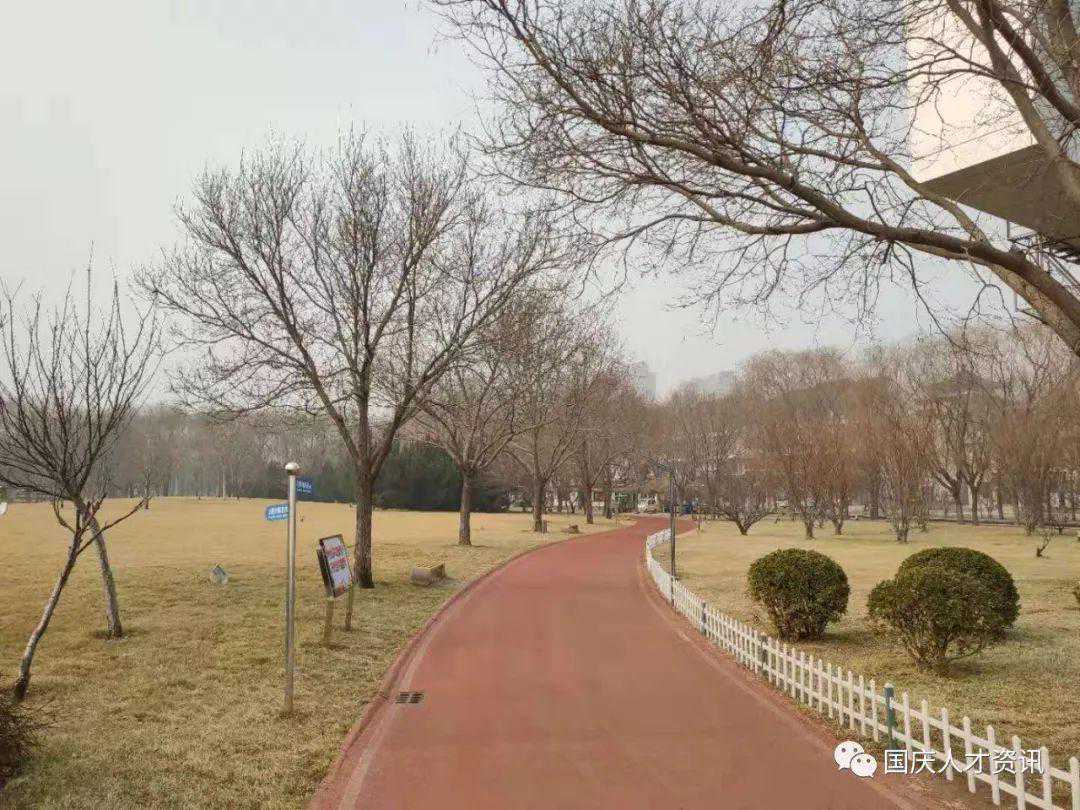 人才征婚  2020.01.30