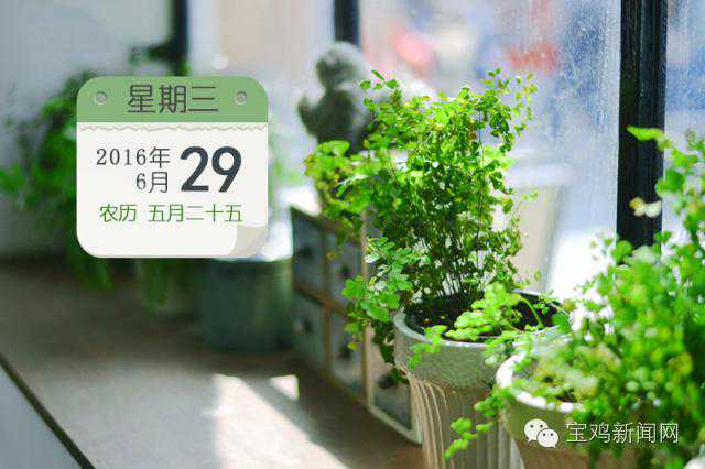 6月29日 新闻速读