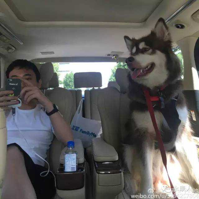 王思聪给王可可征婚，“男朋友”竟是永康的小黄！