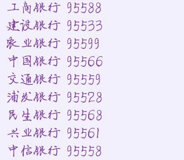 中国·嘉荫第九届中俄集体婚礼“云端”甜蜜来袭