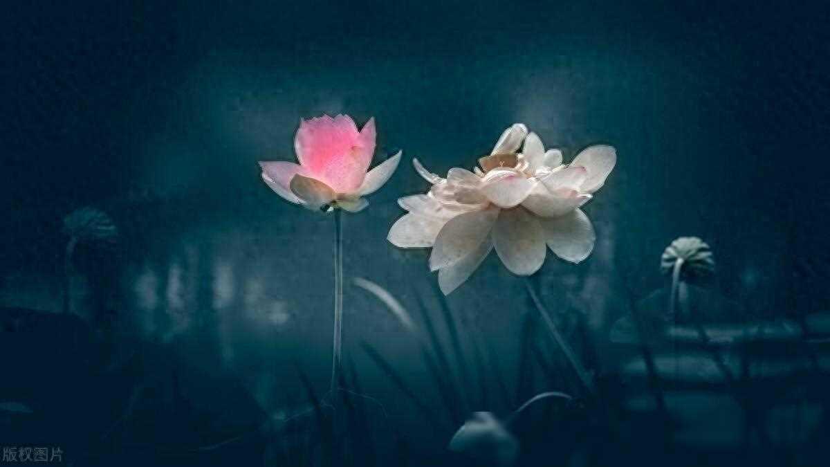 丁克18年，我42岁怀孕，没想到老公侄子知道后，砸了我200