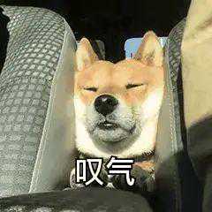 单身人士速进！免费“发对象”啦~