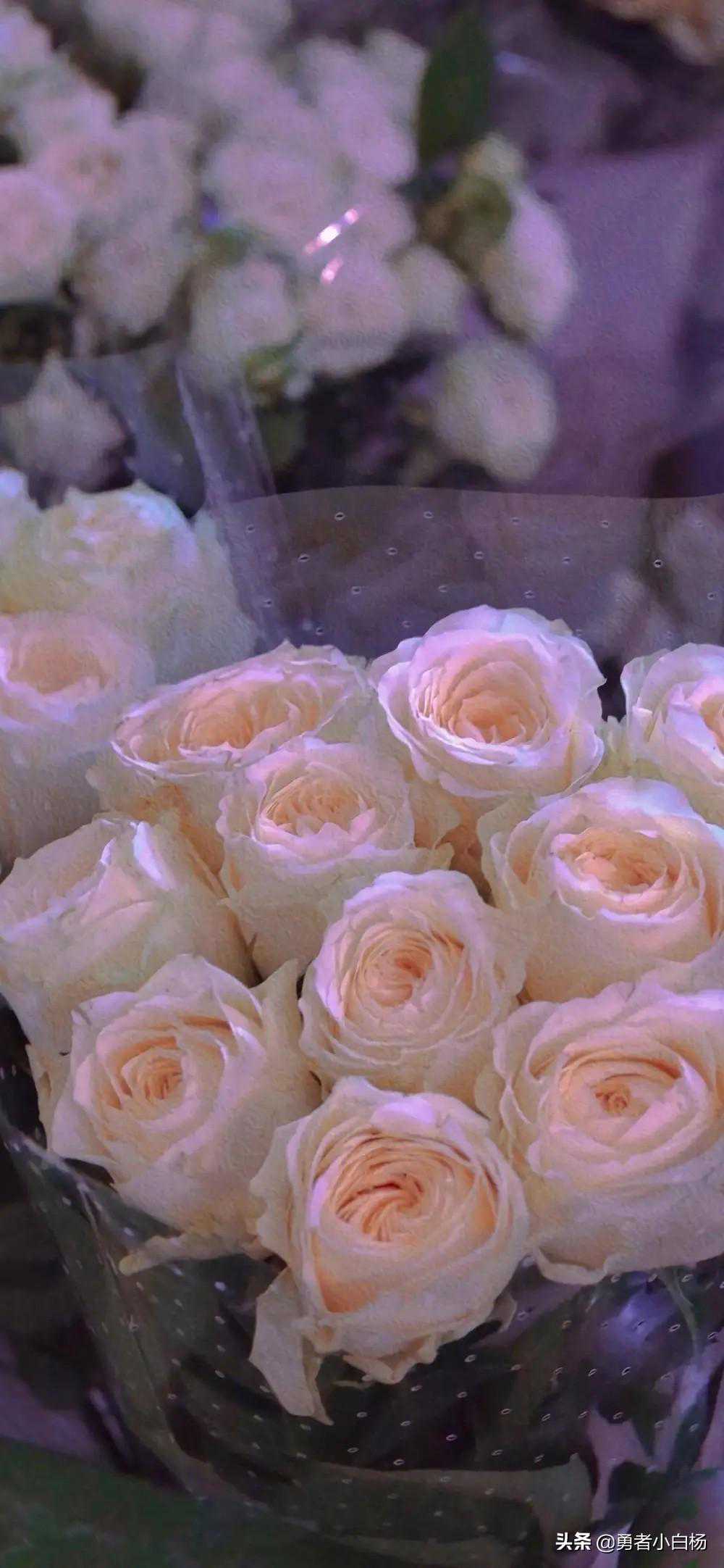 十本婚恋甜宠文：温情满满的质量好文！精彩不容错过