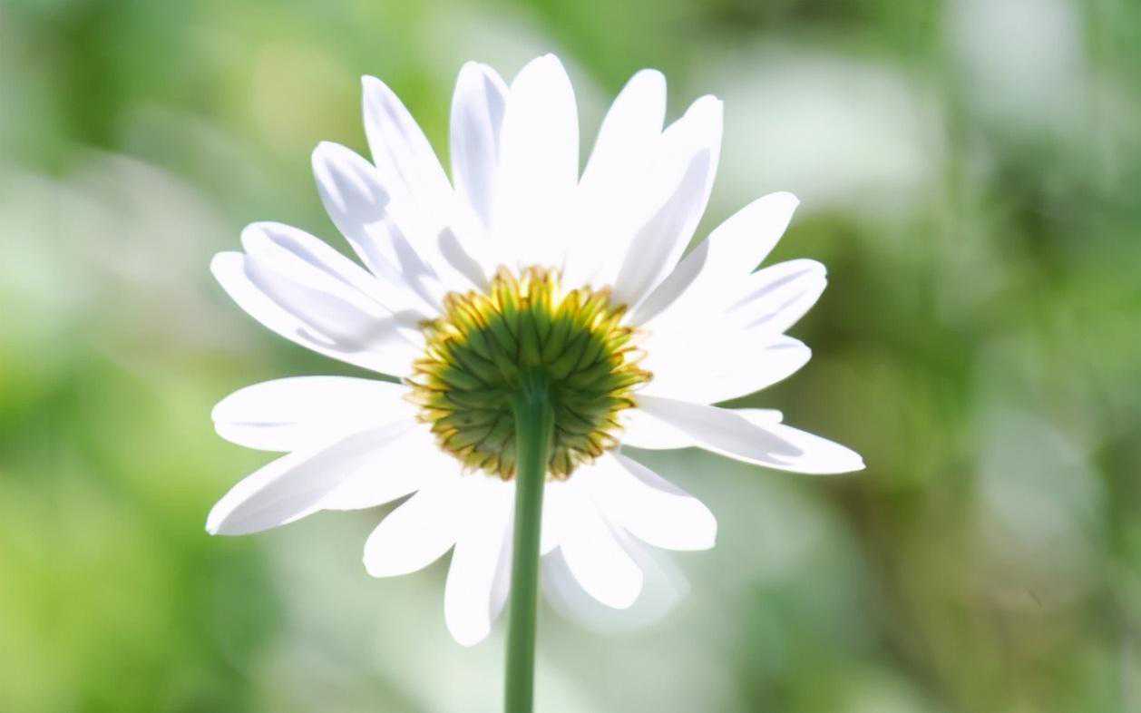 人到中年，学会交友