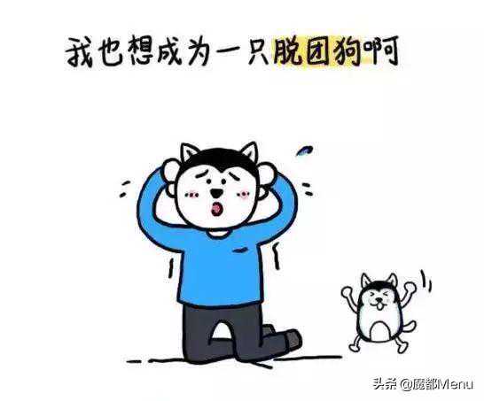 上海单身征婚交友找对象？这个免费微信论坛管用