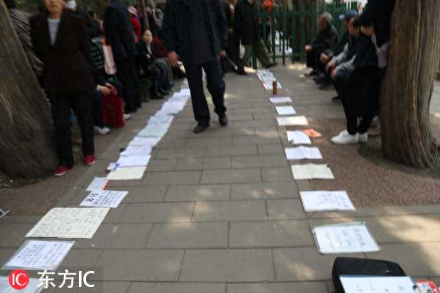 北京中山公园“相亲一条街”人山人海 征婚简历多如街边菜