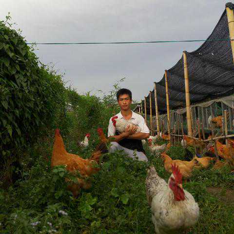 搞电商/农产品品牌，通过什么途径找到农业合伙人以及开拓会员？