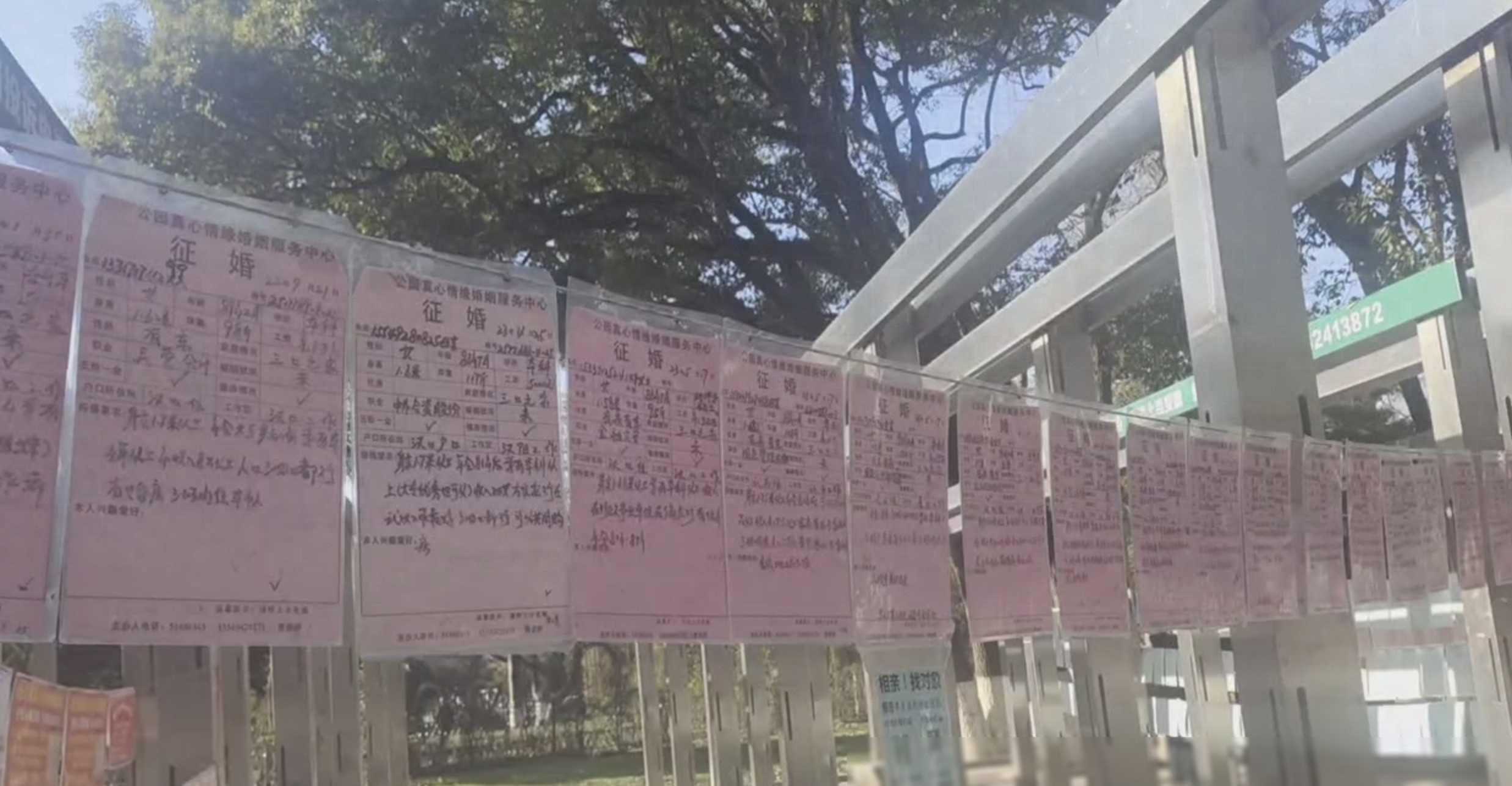 武汉相亲角春节不打烊！相亲新趋势：面对面交流更受热捧