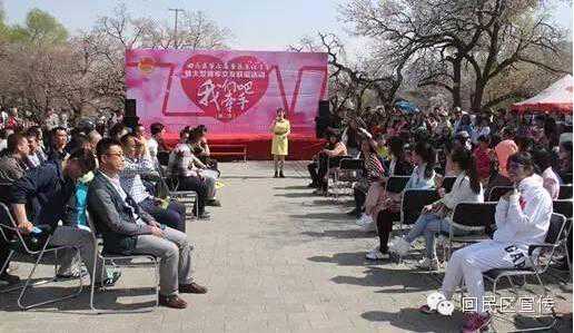 回民区第七届杏花节成功举办“我们牵手吧”大型青年交友联谊活动