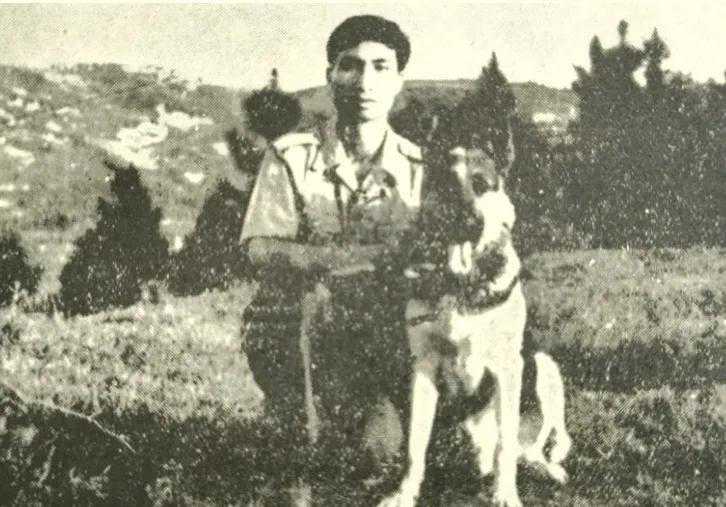 旧作重发：《“征婚启事”一个军犬引导员的脚印……》