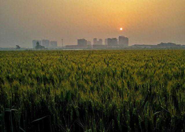 我是邯郸人，今年去一趟邢台，不得不承认邢台跟邯郸有很大的区别