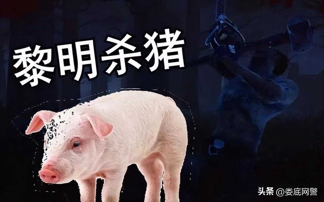 假恋爱，真诈骗！万宝派出所成功打掉一“杀猪盘诈骗团伙”