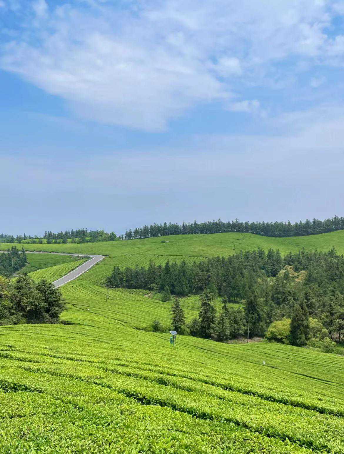 宁波周末去哪儿玩？这三个清幽的约会胜地，建议收藏前往！