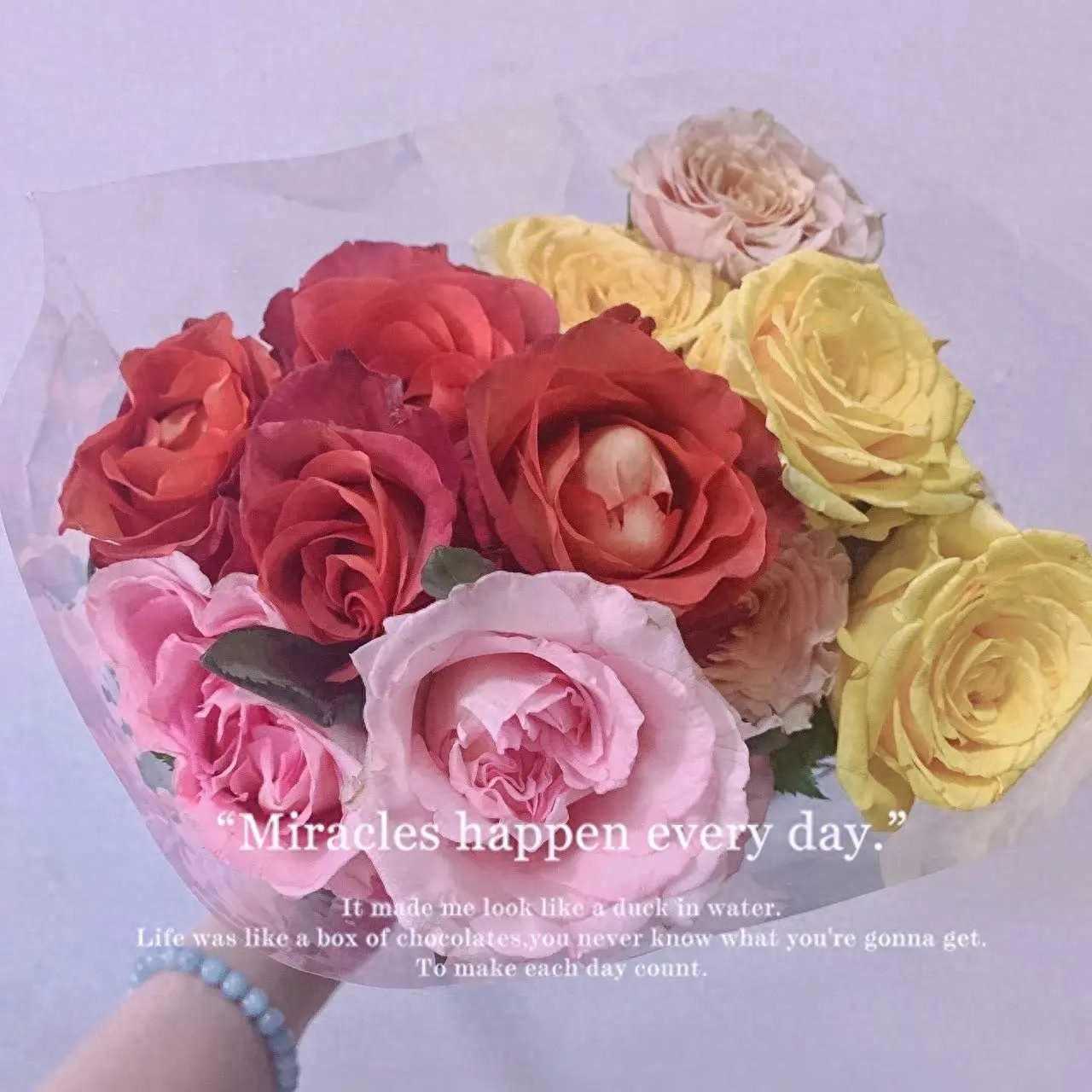 新人百粉求关注（交朋友）