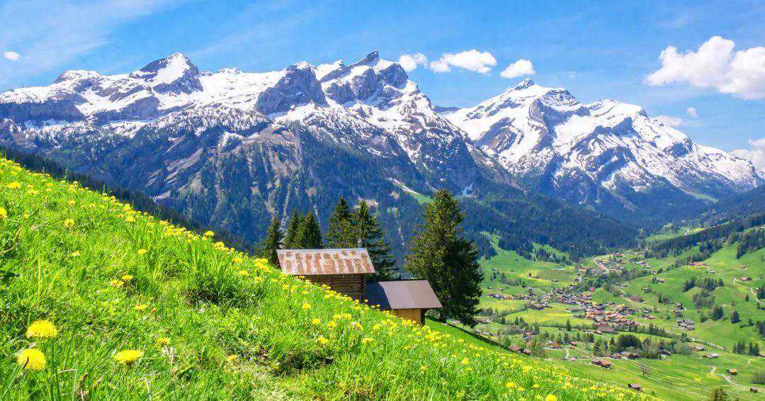 结婚两年，妻子最爱的男人回国，我决定离婚，还她自由