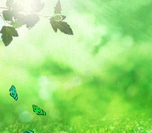 杨女士，年仅37岁，二婚携手陈先生，他同样是38岁的二婚人士