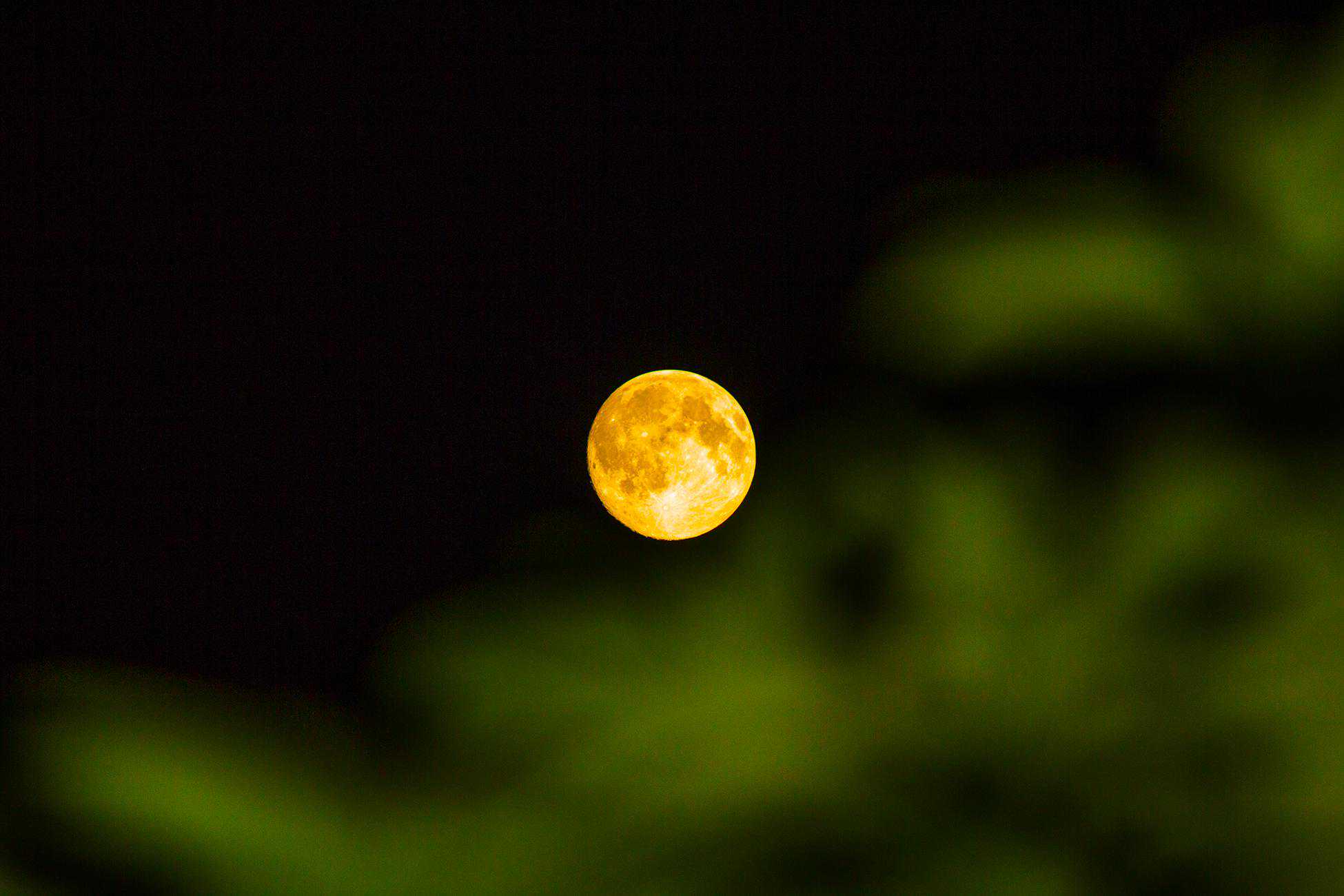 邵长根诗歌《婚纱的桂儿》