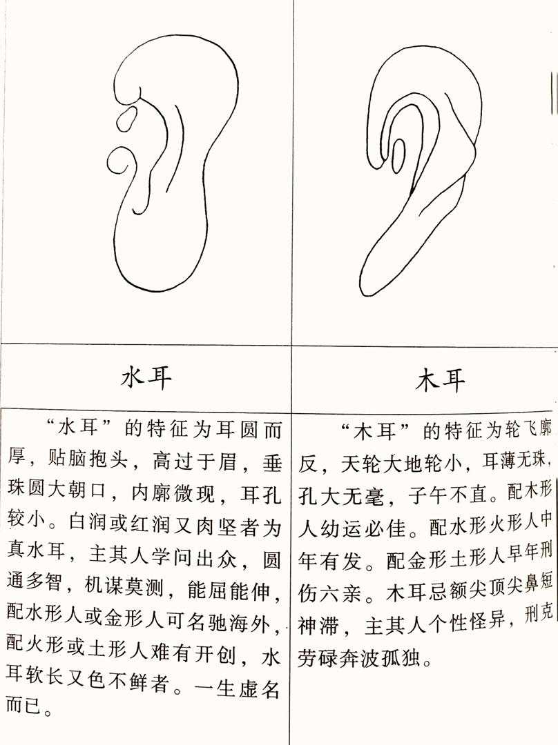 面相：耳为福星——耳相看婚姻家庭