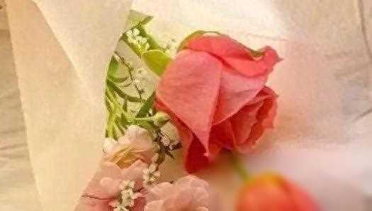 “我妈都没有伸手跟我拿钱，我凭什么养你”女人：行，离婚