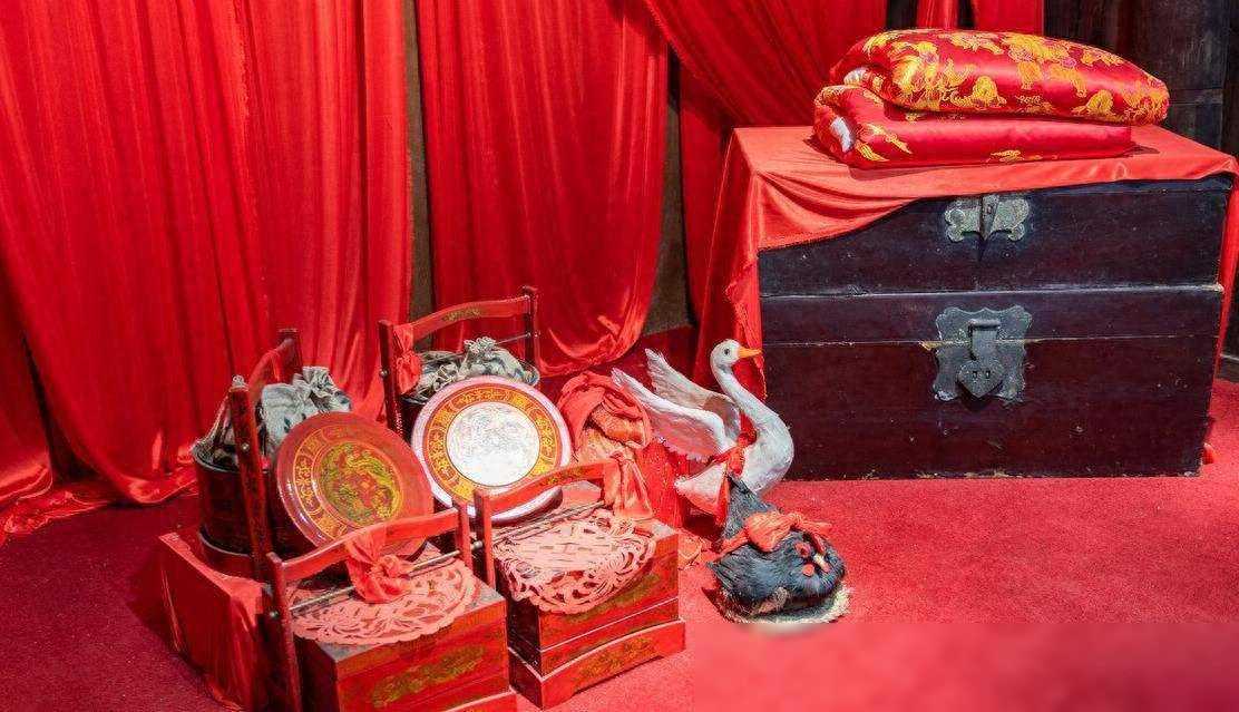 28万彩礼换两盆？新郎婚礼上反套路，岳父母颜面尽失！