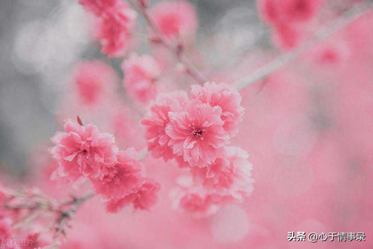 看了老公和婚外女人的聊天，我才发现自己是多么可笑