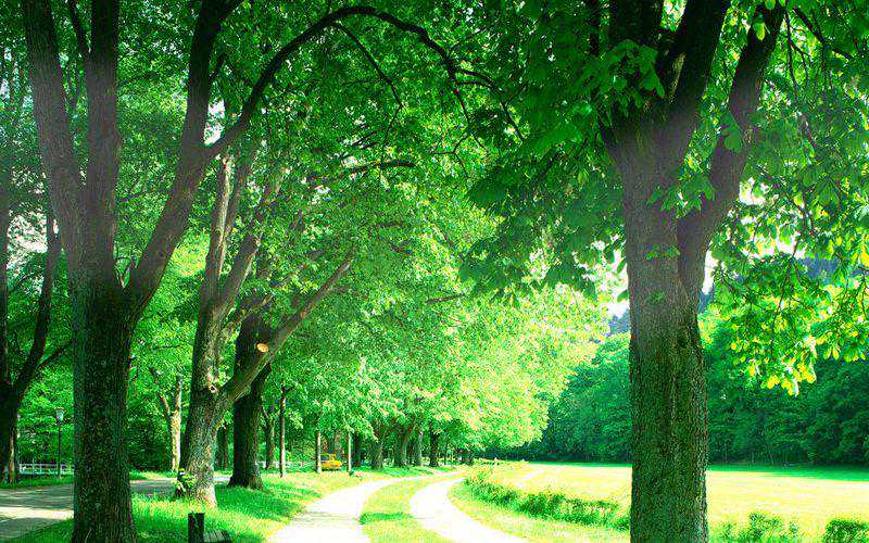 表弟结婚借10万，不借吧，没脸回老家，借吧，3口之家就完了