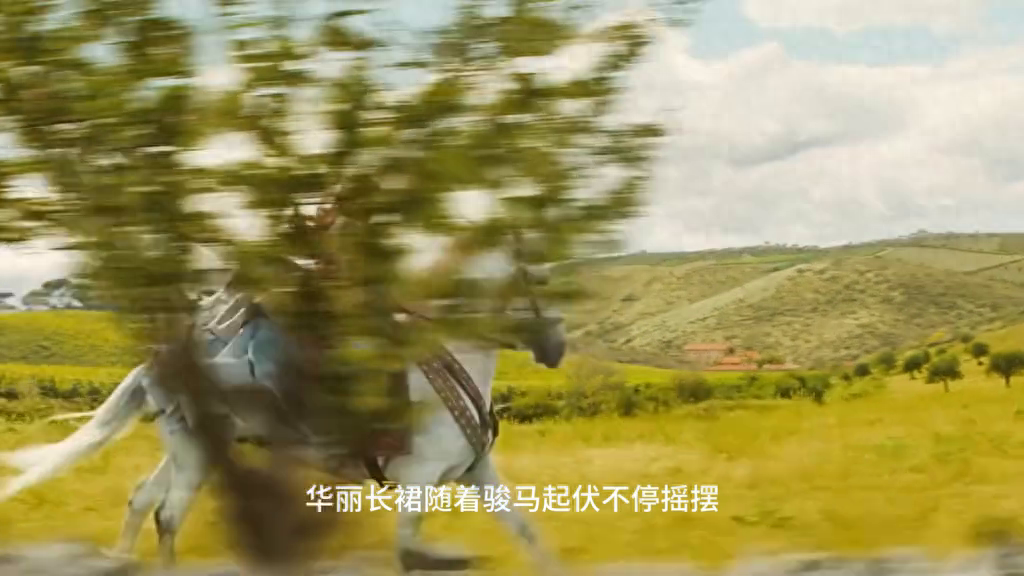 落魄公主为爱嫁给富足王子，没成想新婚第一天就被他“杀”掉