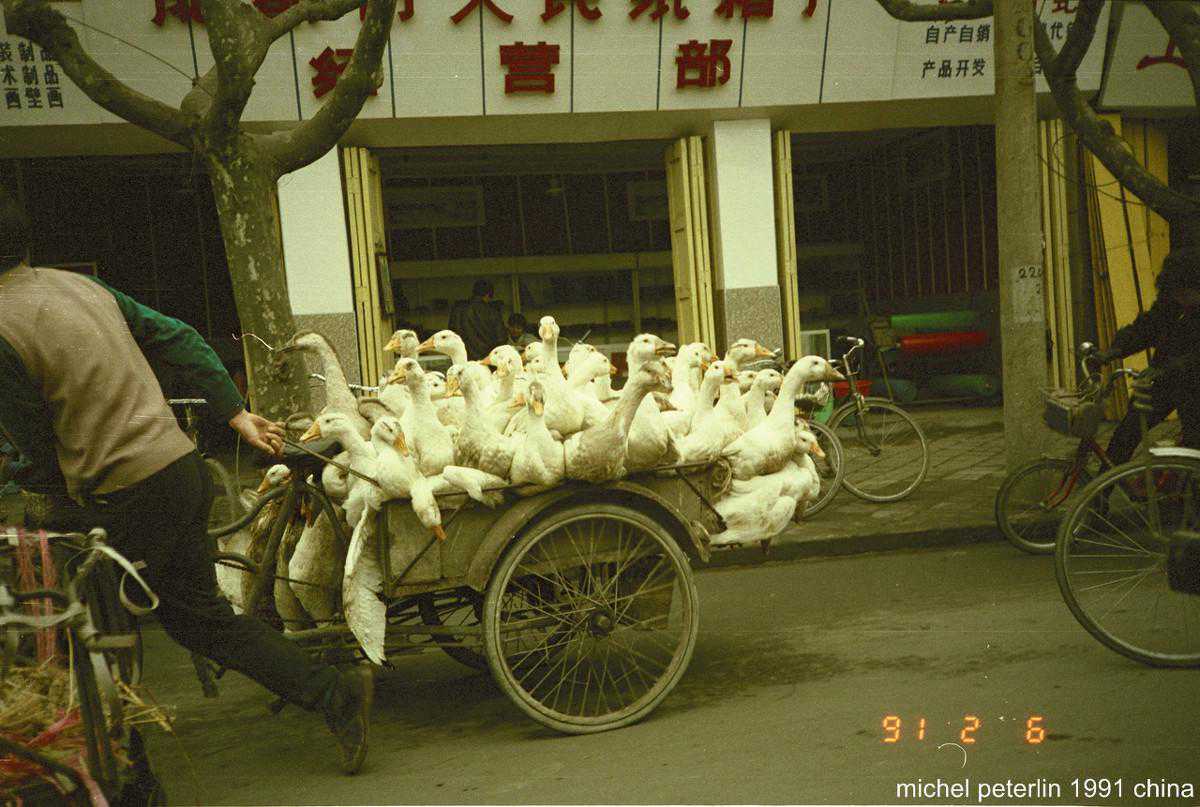 新娘突然溜号半小时，新郎跟去后喊停婚礼：这女人我不要了