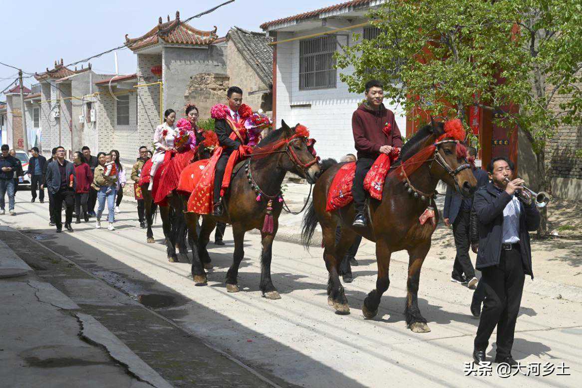 农村年轻人骑马结婚，有人靠提供马为生，一匹三百元年最高挣3万