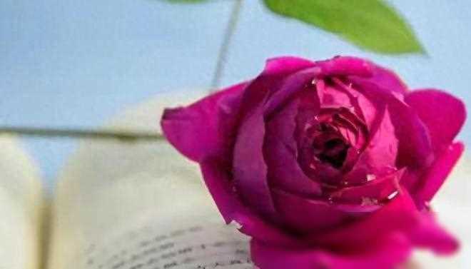 退休金三千雇不起保姆，给自己找了个二婚老伴，她掏钱还得伺候我