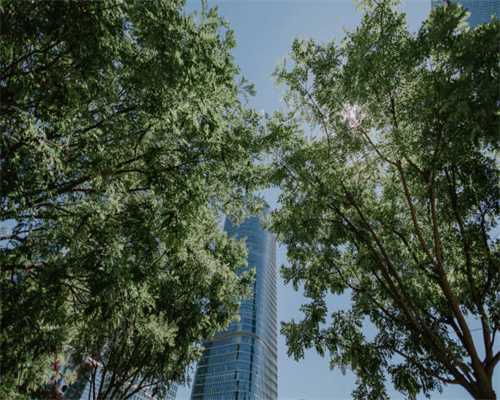 春暖花开备婚忙 婚庆影楼“甜滋滋”