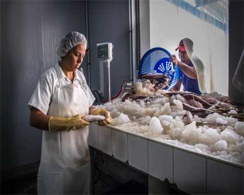 哈里和梅根大婚：一文看懂英国王室婚礼的特色