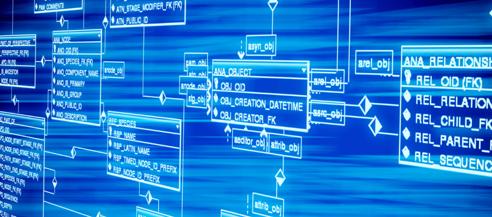 山西新婚夫妇可领9500万消费补贴 未来有望多地试点