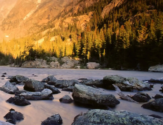 最新婚礼主持词全程